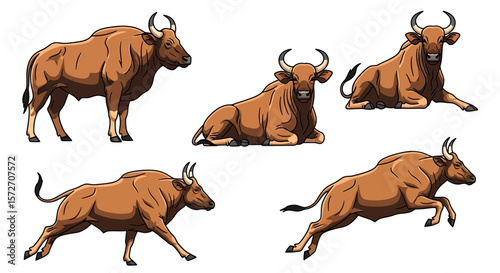 Indian Wild Buffalo illustrated in different poses and actions  