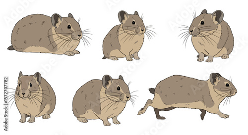 Pika in various poses showcasing movement and behavior  