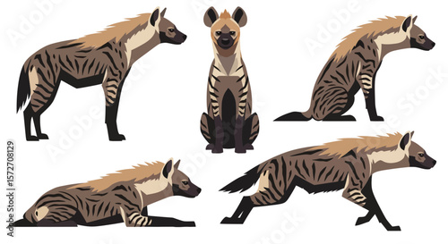 Striped hyena in various poses showcasing unique features and stance  