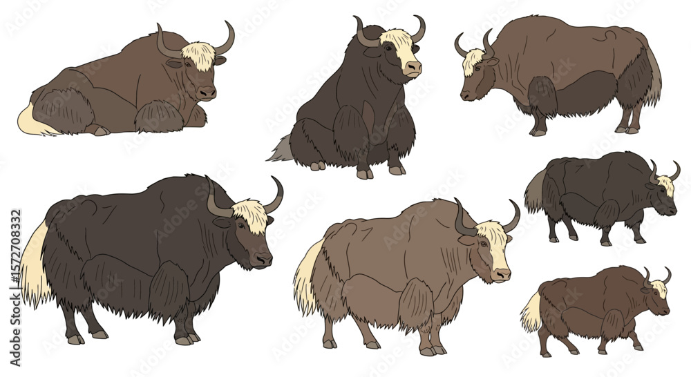 Fototapeta premium Different poses of yaks illustrated in various sizes and colors 