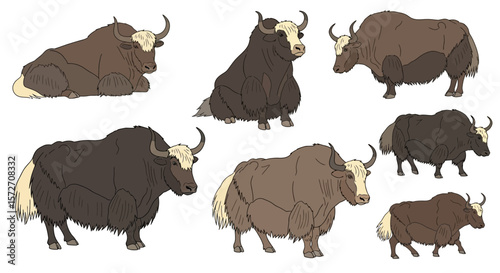 Different poses of yaks illustrated in various sizes and colors  