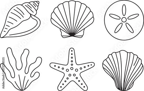 Coastal Seashell and Starfish Pattern: Marine Life, Beach, and Ocean Theme

