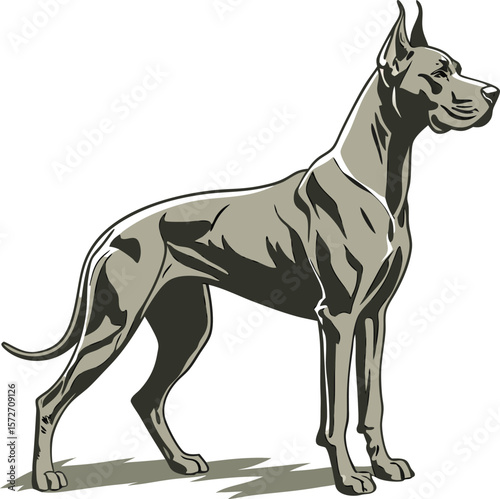 Stylized Great Dane dog vector illustration. Purebred giant dog standing in profile, isolated on white background.
