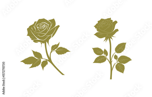 Two roses with stems and leaves, olive color floral design on white