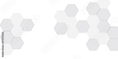 Vector technology background with hexagon concept design. Embossed Hexagon , honeycomb white shadow. Luxury White 3D futuristic honeycomb mosaic white background.