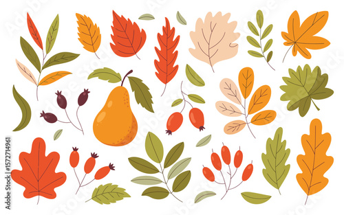 Set of Autumn Plants – Flat Vector Collection Featuring Seasonal Leaves, Branches, and Nature Elements Isolated on White Background for Cards, Posters, Stickers, and Fall Design Projects


