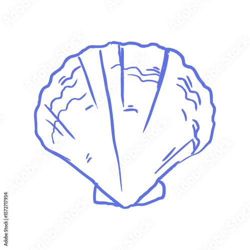 Minimal seashell line art drawing. Clean hand drawn coastal scallop sketch.
Summer blue chalk vector illustration  for marine graphics, seafood branding, coastal wedding invites, menu designs.