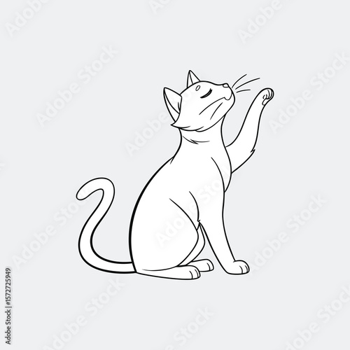 vector illustration of a cat