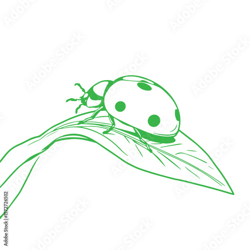 Ladybug on a leaf line drawing vector design concept illustration.