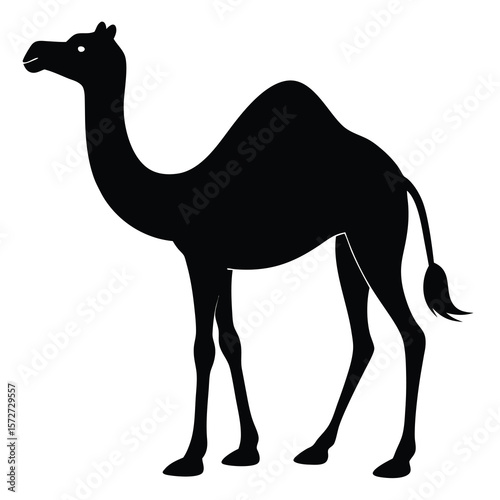 Camel Silhouette (1)