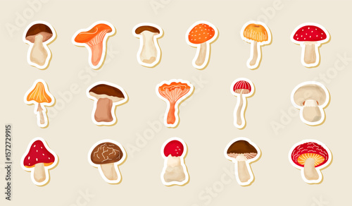 Cozy Watercolor woodland mushroom vector set. Illustrations of Porcini, Chanterelle, Fly Agaric, and more. Ideal for nursery art, perfect for seasonal decor, scrapbooking, and planner stickers
