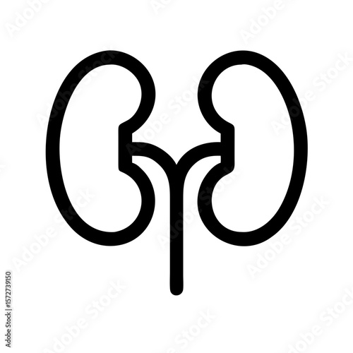Kidneys Line Icon Modern Medical Vector Outline for Anatomy Study