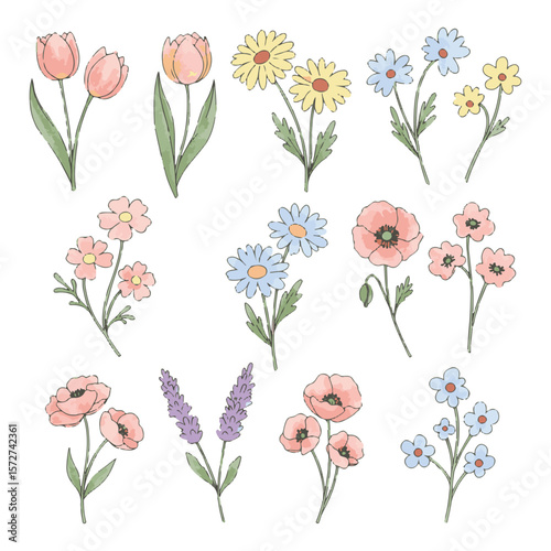 Hand-Drawn Watercolor Floral Vector Set – Cute Wildflowers