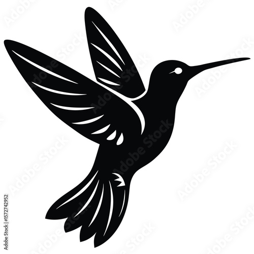 Hummngbird vector shilhouette single