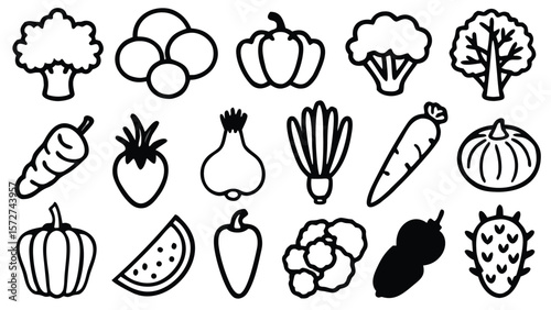 Broccoli bell pepper carrot onion watermelon cauliflower pumpkin vector