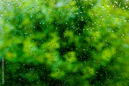 view through the window during the rain