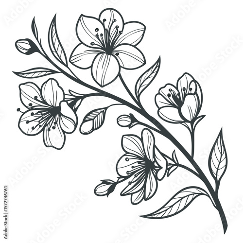 A versatile cmyk and rgb color design featuring helvetica and courier fonts created in adobe illustrator