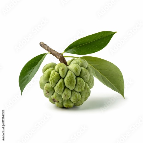  high-quality product photography shot of a single green cherimoya fruit against a pure white background 
