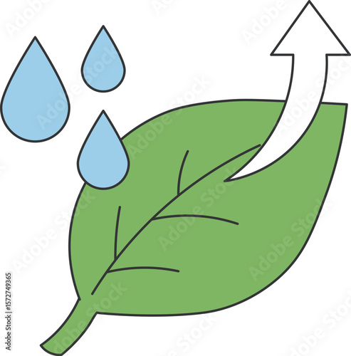 Transpiration from Leaf Illustration

