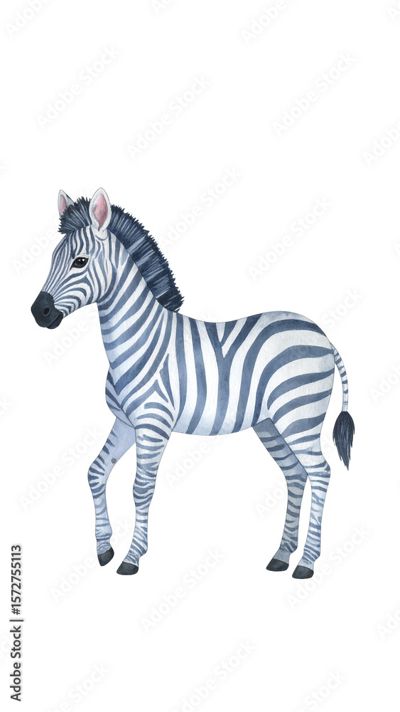 Obraz premium A colorful illustration of a lively zebra.