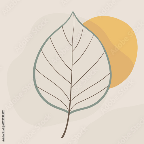 A bold black silhouette of a beech (Fagus) leaf,