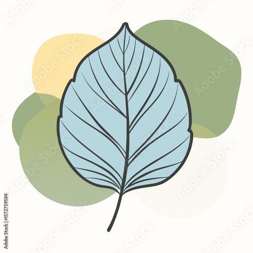 A bold black silhouette of a beech (Fagus) leaf,