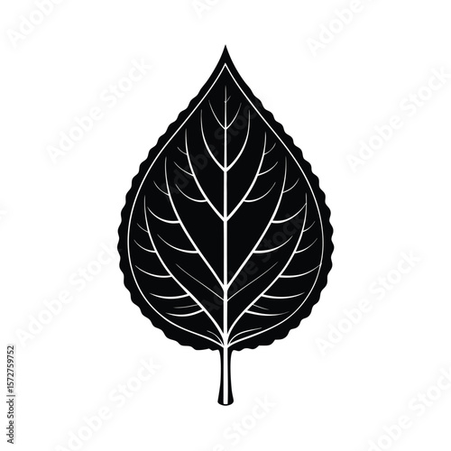 A bold black silhouette of a poplar (Populus) leaf,