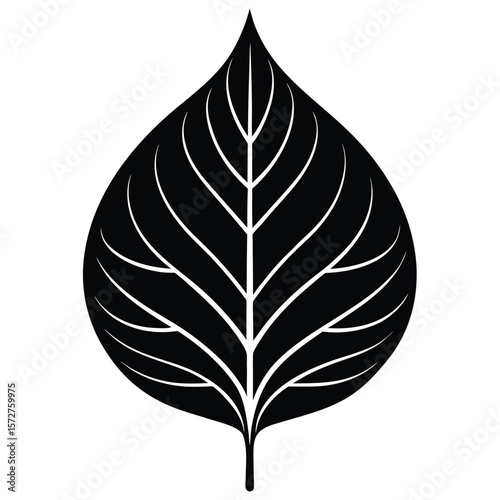 A bold black silhouette of a poplar (Populus) leaf,