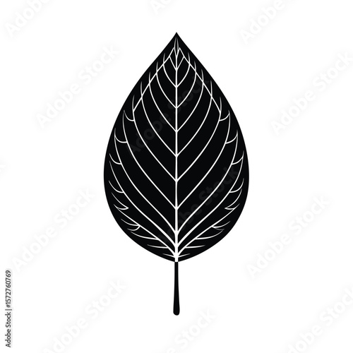 A bold black silhouette of a poplar (Populus) leaf,