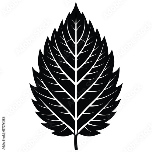  A bold black silhouette of an ash leaf, lanceolate to oblong shape with serrated edges, 