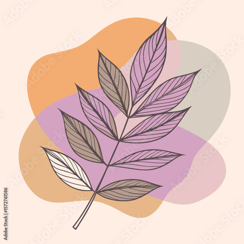  A bold black silhouette of an ash leaf, lanceolate to oblong shape with serrated edges, 