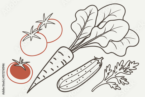 A line art illustration of fresh vegetables including tomatoes and carrots