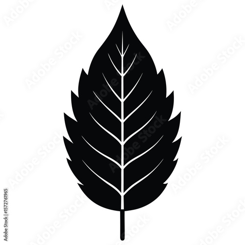  A bold black silhouette of an ash leaf, lanceolate to oblong shape with serrated edges, 
