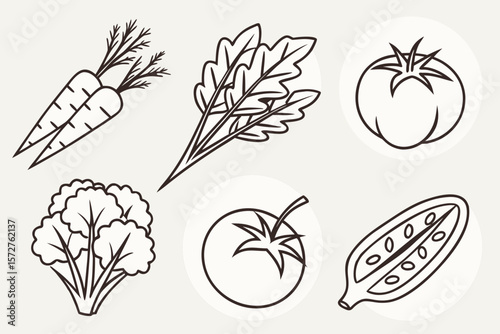 A collection of fresh vegetables are drawn in black outline on white