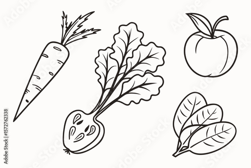 Hand drawn vector illustration of fresh vegetables and fruits