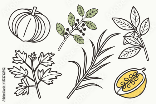 A simple line drawing of a pumpkin, berries, rosemary, and lemon