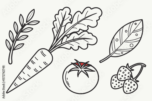 Outlined carrots, tomatoes, and strawberries for a fresh and healthy design