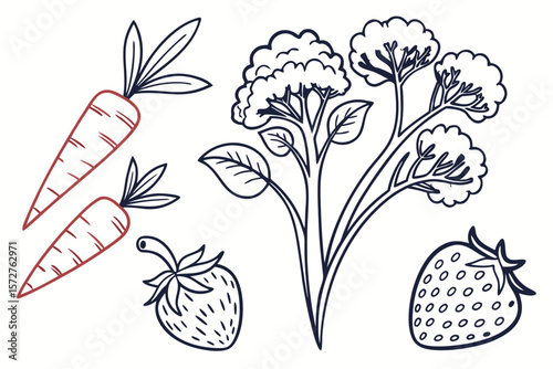 Outlined drawings of carrots, cauliflower, and strawberries on a white background