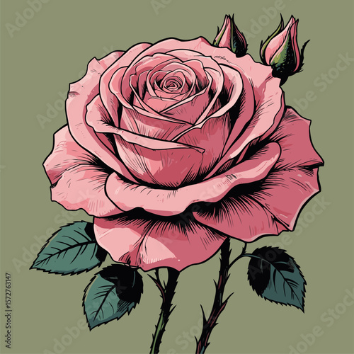 vector rose flower illustration for design needs