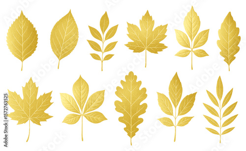 Collection of Elegant Golden Autumn Leaves with Detailed Textures, Isolated on a Transparent Background. Leaf Types in a Shiny Metallic Gold Style
