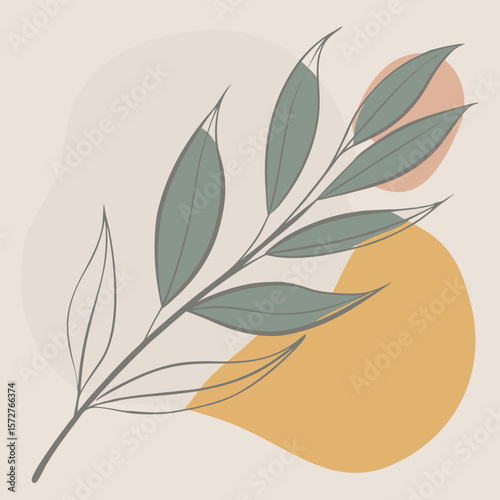  A sleek black silhouette of a willow (Salix) leaf,