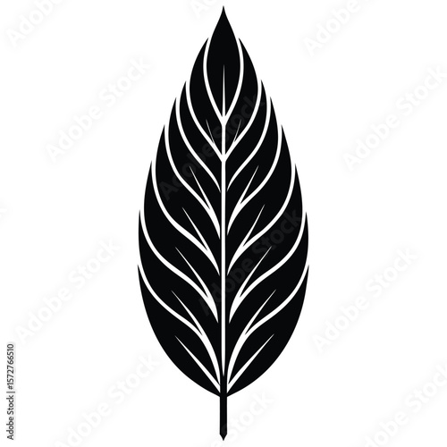  A sleek black silhouette of a willow (Salix) leaf,