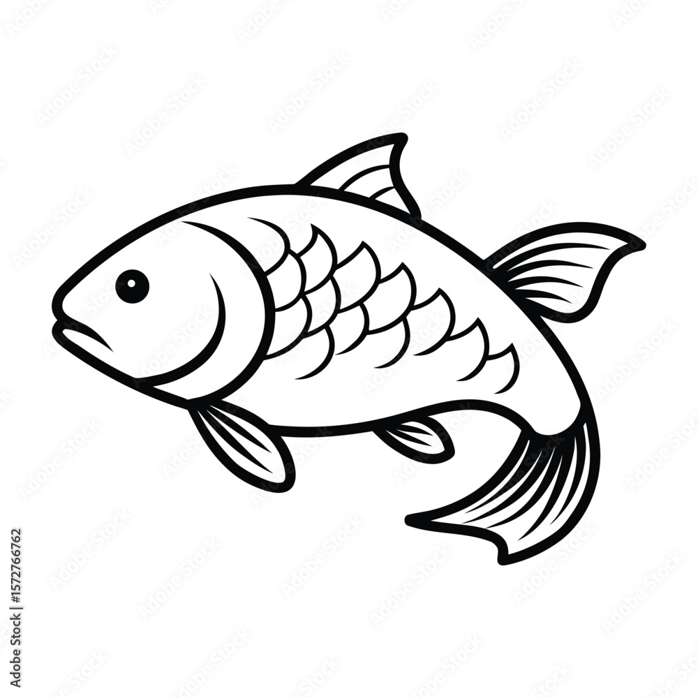fish on a white background fish on a white background