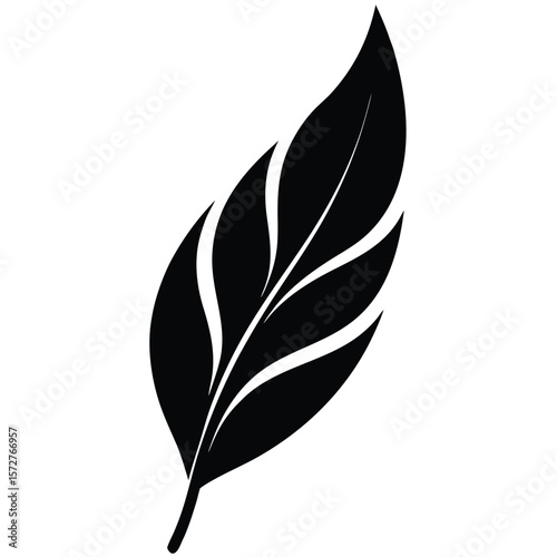  A sleek black silhouette of a willow (Salix) leaf,