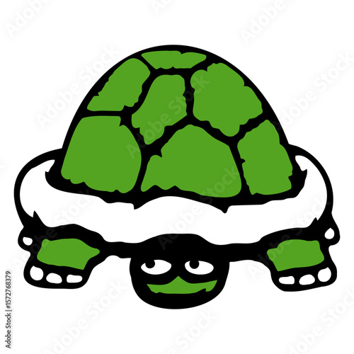 Turtle hiding shy funny grin smile cheeky cute fun