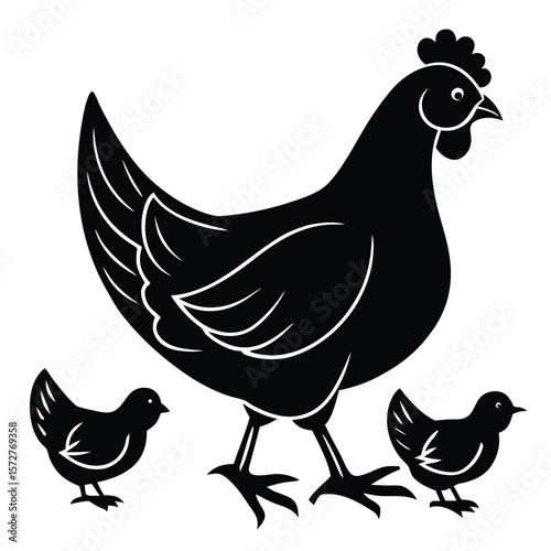 Charming silhouette of a mother hen with three fluffy baby chicks walking together in a line
