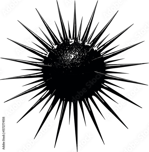 Sea Urchin vector silhouette design