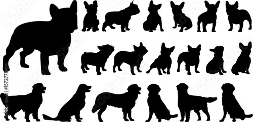 set of silhouettes of dogs of different breeds, vector