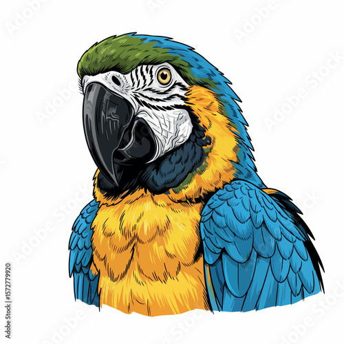 illustration, nature, bright, colorful, parrot, bird, beak, isolated, wild, tropical, wildlife, exotic, animal, pet, feather, design, cute, macaw, zoo, wing, jungle, beautiful, fauna, art, green, 