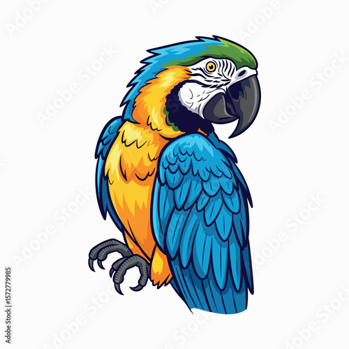 illustration, nature, bright, colorful, parrot, bird, beak, isolated, wild, tropical, wildlife, exotic, animal, pet, feather, design, cute, macaw, zoo, wing, jungle, beautiful, fauna, art, green, 